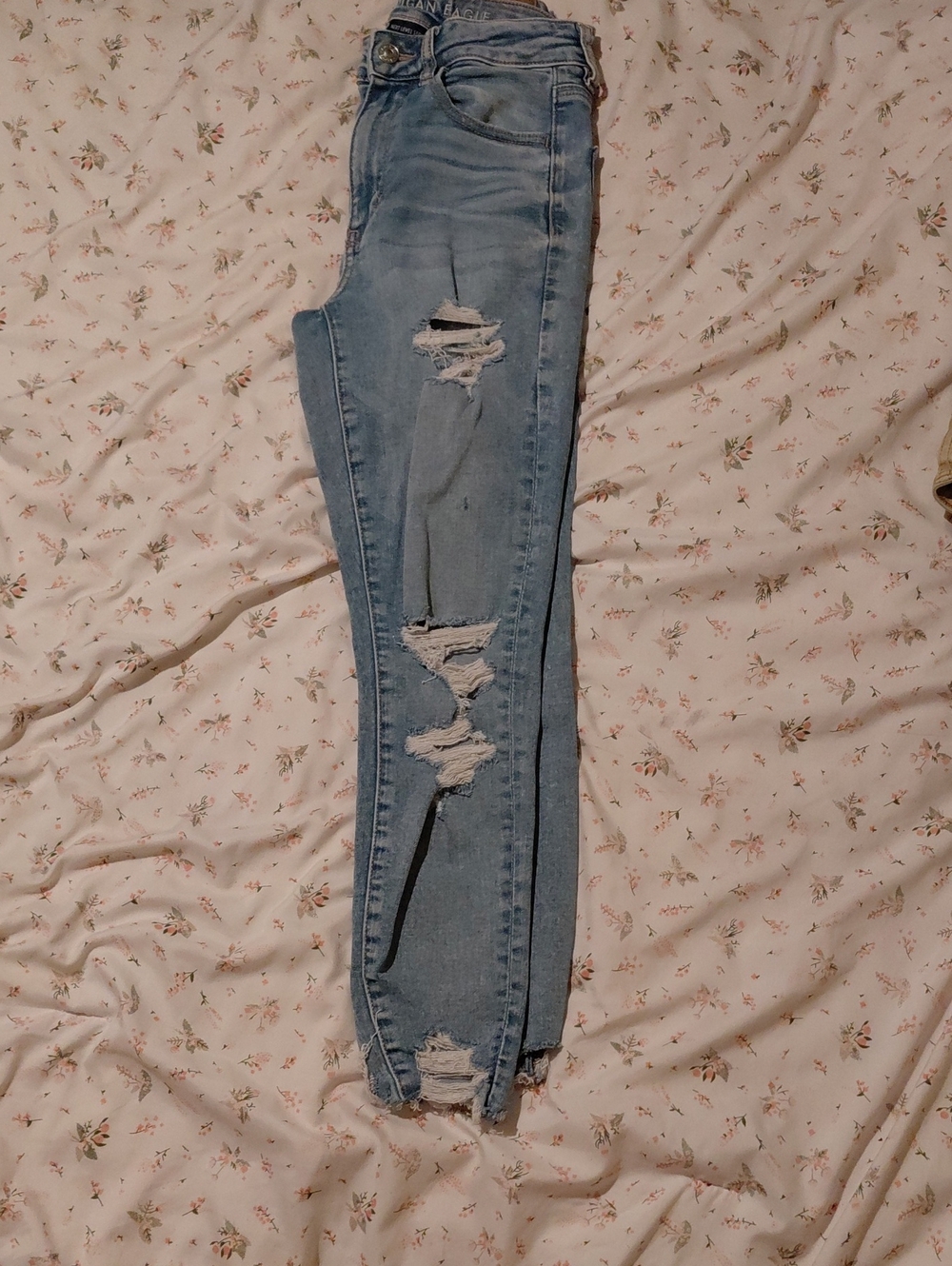 American Eagle Outfitters Light Blue Distressed Skinny Jeans